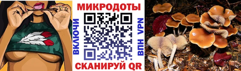 Галлюциногенные грибы ЛСД  это какой сайт  Курлово 